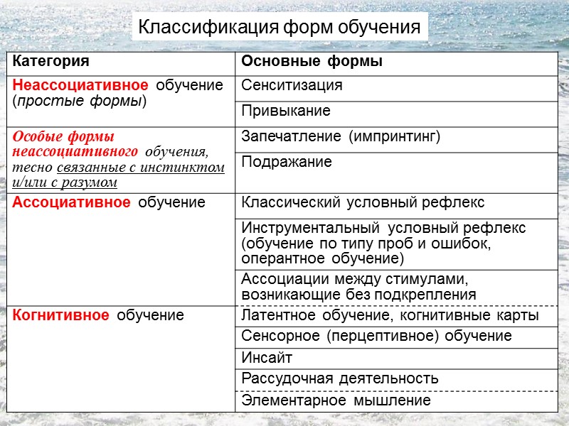 Классификация форм обучения